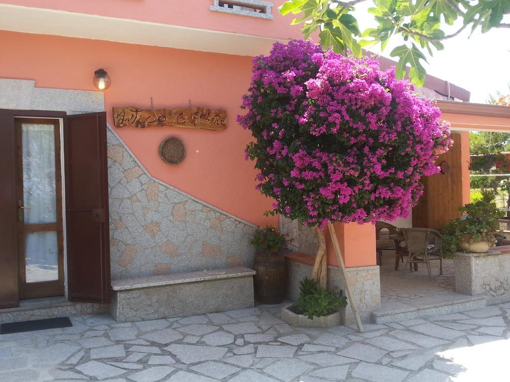Antico Casolare Sorso-Tourist Rental Exterior foto